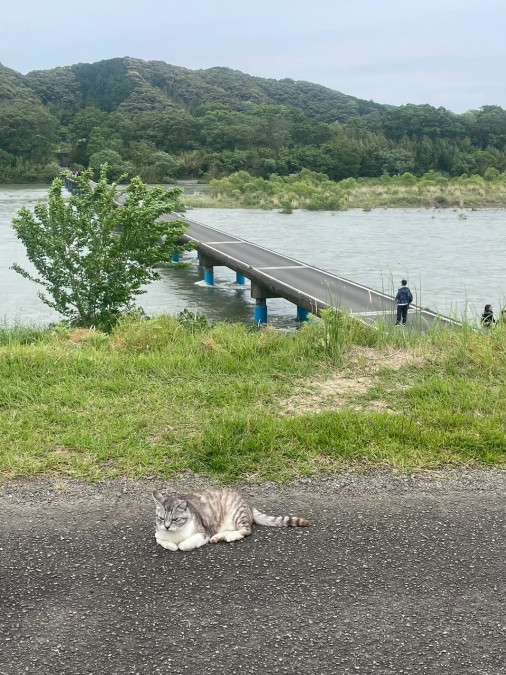 四万十川　沈下橋