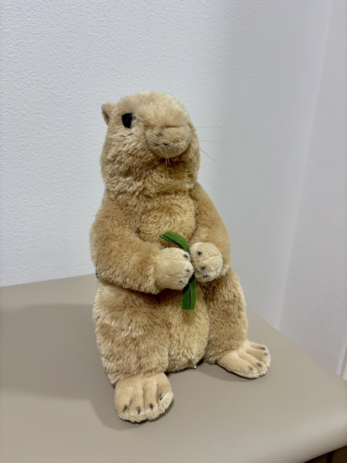 プレーリードッグ